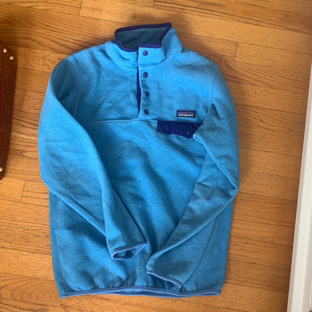 Patagonia Blue Fleece Pullover